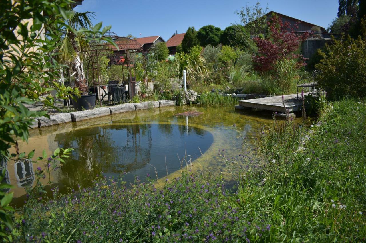 Palmengarten Finning Bagian luar foto